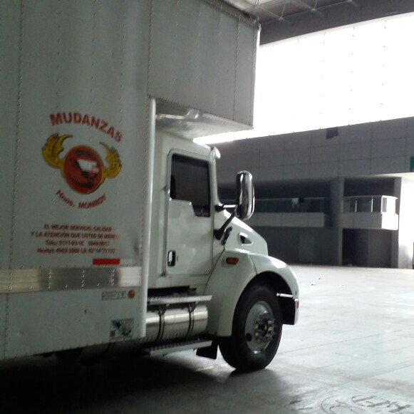 502584194 3206521726163290 8301718036956967345 n